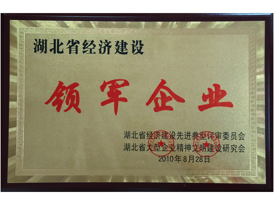 2010年領(lǐng)軍企業(yè)