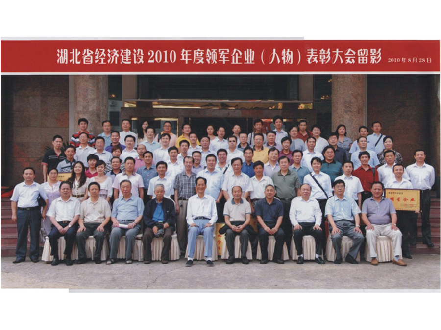 2010年度領(lǐng)軍企業(yè)（人物）表彰大會